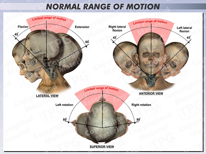 lumbar range of motion
