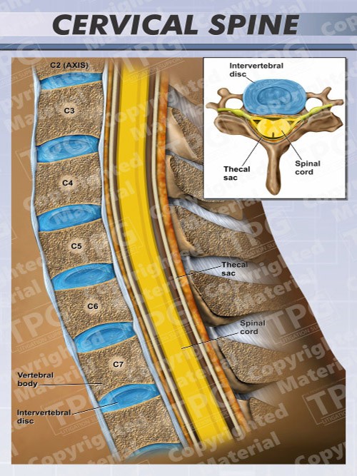 Cervical-Spine-Sagittal